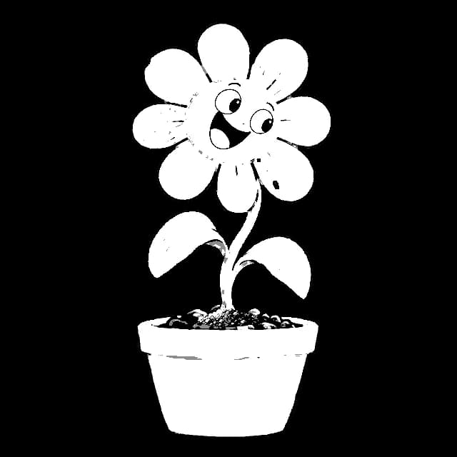 Spring daisy